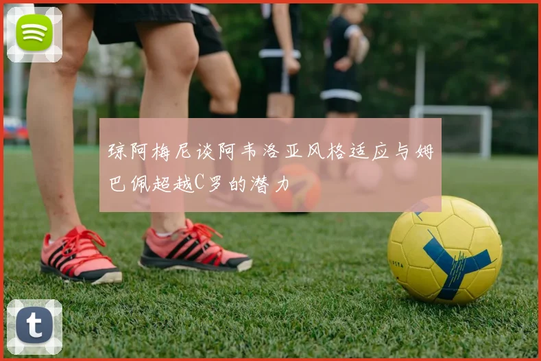 琼阿梅尼谈阿韦洛亚风格适应与姆巴佩超越C罗的潜力